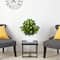 2ft. Golden Dumb Cane in Decorative White Metal Planter